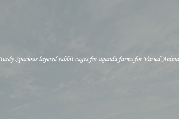 Sturdy Spacious layered rabbit cages for uganda farms for Varied Animals