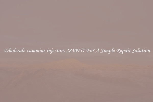 Wholesale cummins injectors 2830957 For A Simple Repair Solution