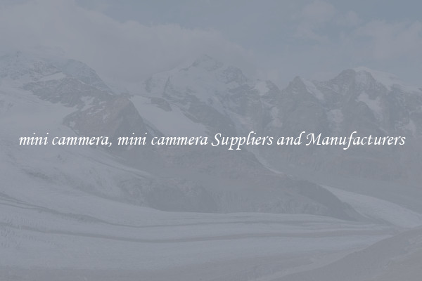 mini cammera, mini cammera Suppliers and Manufacturers