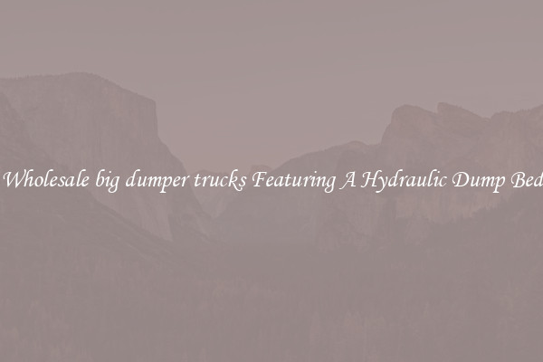 Wholesale big dumper trucks Featuring A Hydraulic Dump Bed