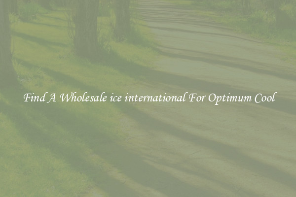 Find A Wholesale ice international For Optimum Cool