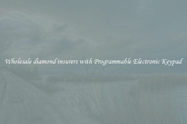 Wholesale diamond insurers with Programmable Electronic Keypad 