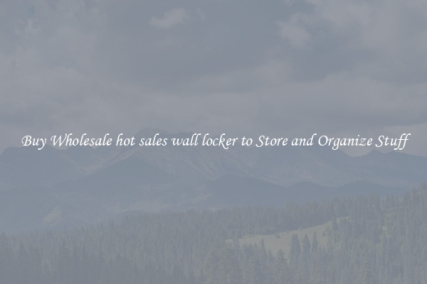 Buy Wholesale hot sales wall locker to Store and Organize Stuff
