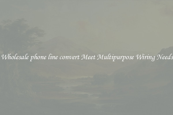 Wholesale phone line convert Meet Multipurpose Wiring Needs