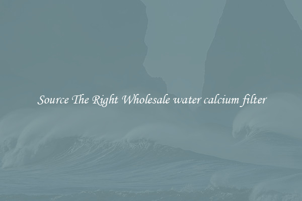 Source The Right Wholesale water calcium filter