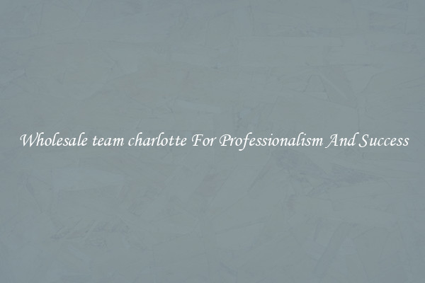 Wholesale team charlotte For Professionalism And Success