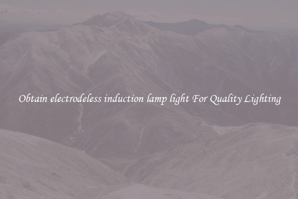 Obtain electrodeless induction lamp light For Quality Lighting