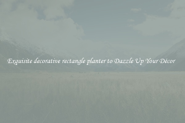 Exquisite decorative rectangle planter to Dazzle Up Your Décor  