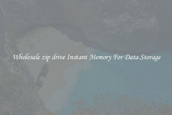 Wholesale zip drive Instant Memory For Data Storage