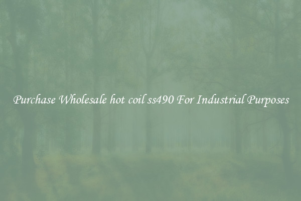 Purchase Wholesale hot coil ss490 For Industrial Purposes