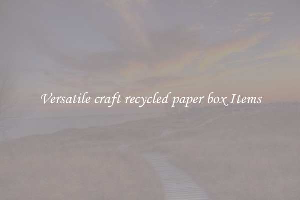 Versatile craft recycled paper box Items