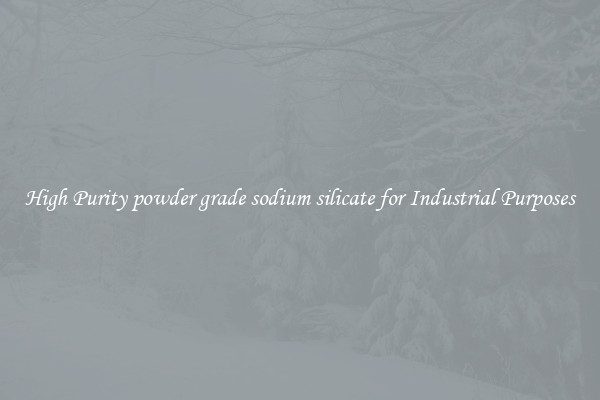 High Purity powder grade sodium silicate for Industrial Purposes