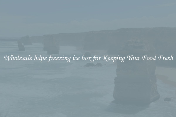 Wholesale hdpe freezing ice box for Keeping Your Food Fresh