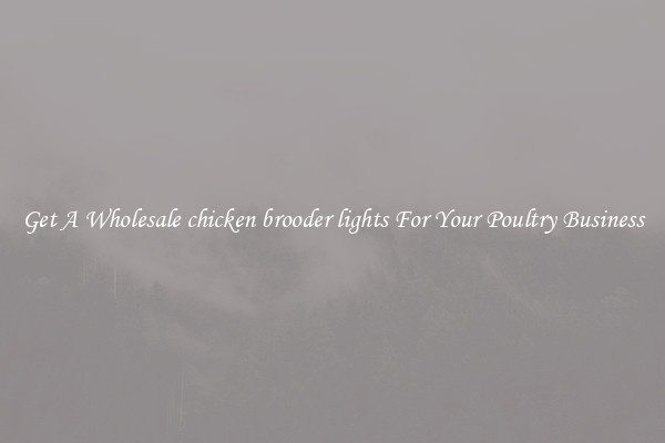 Get A Wholesale chicken brooder lights For Your Poultry Business