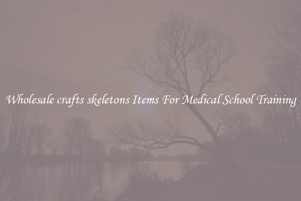 Wholesale crafts skeletons Items For Medical School Training